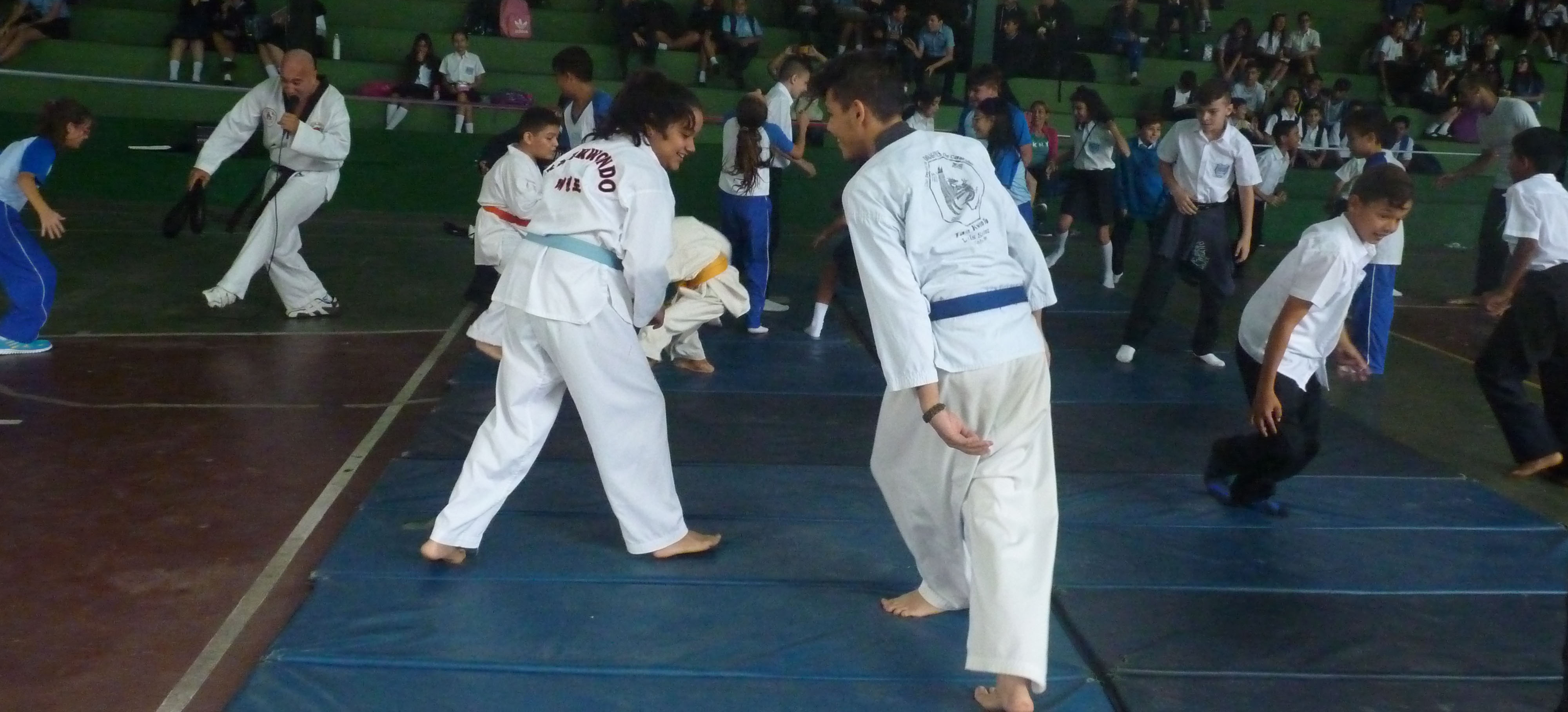 Realizada exhibición de Taekwondo en la sede de El Juan